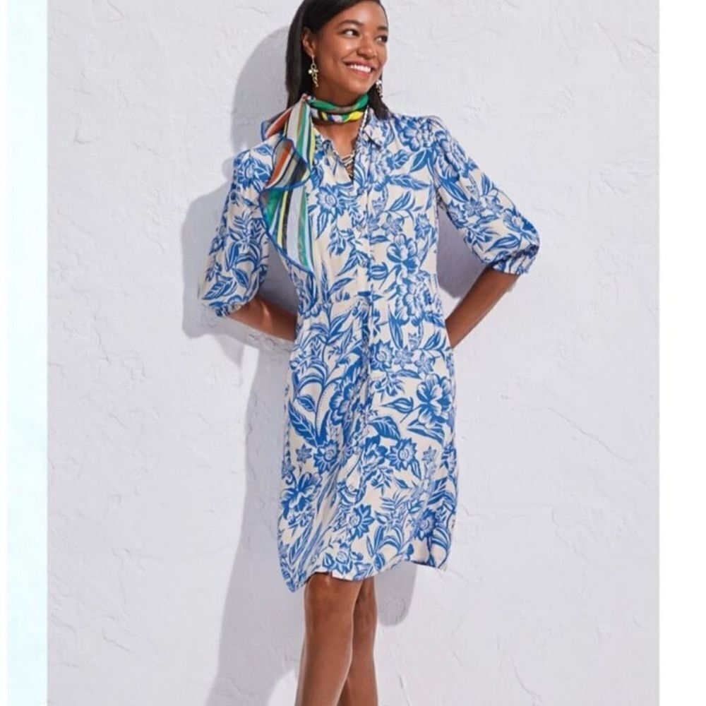 Cabi Athena Dress blue and white